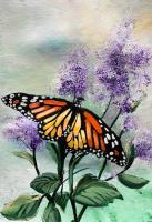 Art In A Box - Monarch by Janet Liesemer by "Art In A Box" Art Lessons